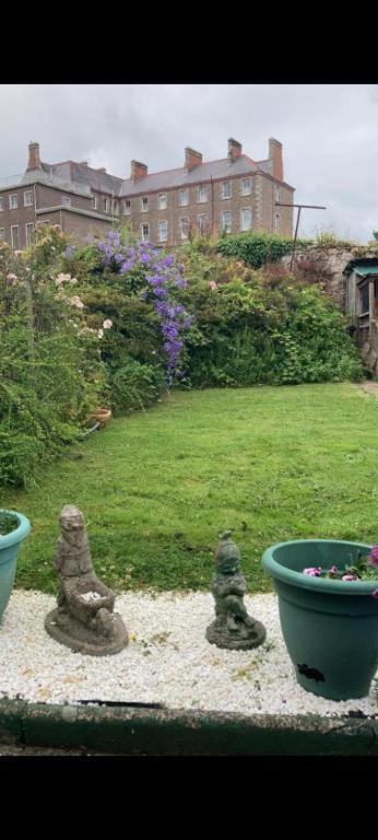 Townhouse Wexford Villa Екстериор снимка