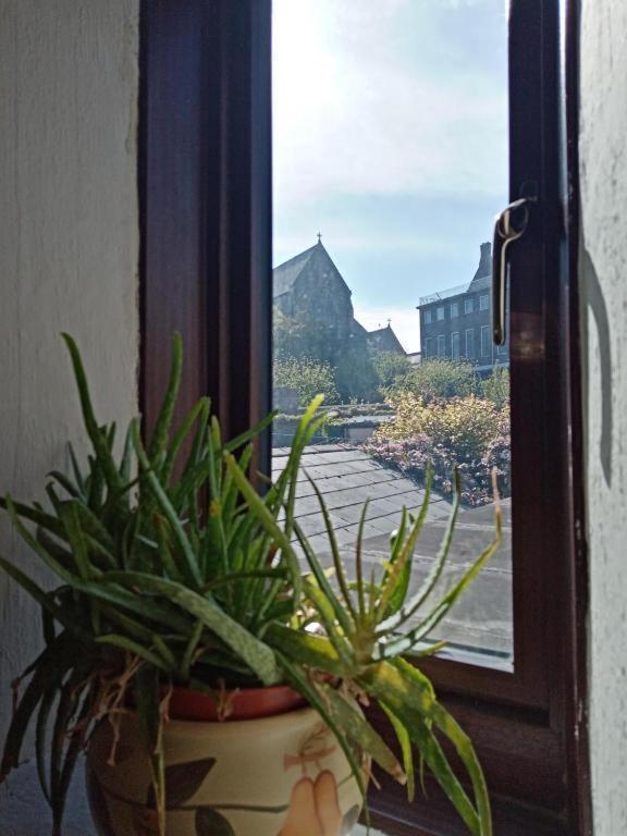 Townhouse Wexford Villa Екстериор снимка